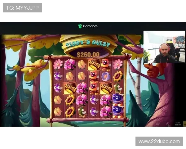 深入了解pg电子：这款游戏的魅力与玩法解析